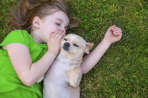 Girl with Dog on Sod in Seattle