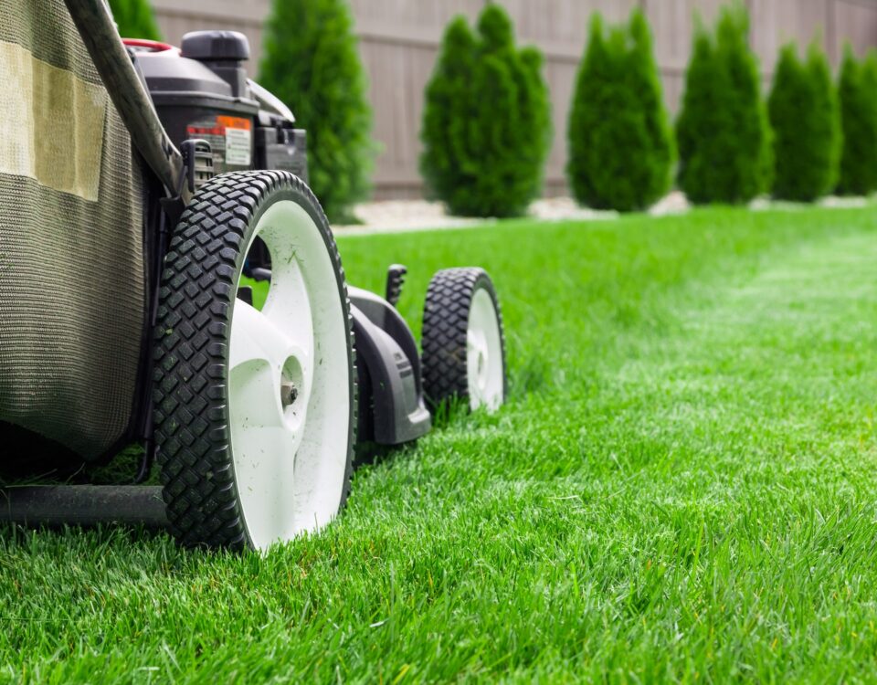 Lawn Maintenance Olympia