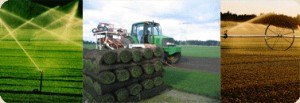 About Country Green Turf Farms