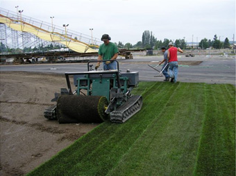 big-roll-sod-installation