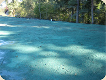 Hydroseed On The Ground