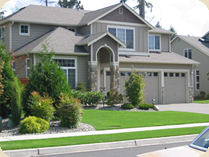 Installed Sod Installed Sod