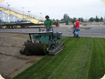 Installing Sod Installing Sod