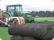 Moving Sod Moving Sod