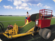 Sod Harvesting Sod Harvesting
