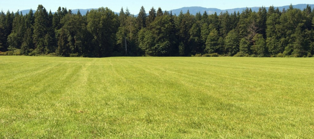 Hydroseeding Everett WA