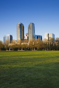 Hydroseeding Bellevue Washington 