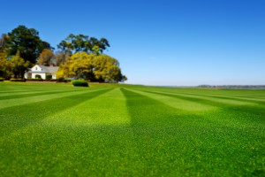 Hydroseeding Lake Stevens Washington 