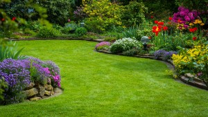 Hydroseeding Snohomish