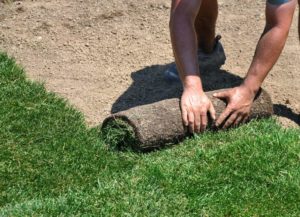 How to Lay Sod