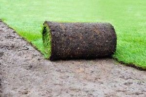 Laying Your Own Sod