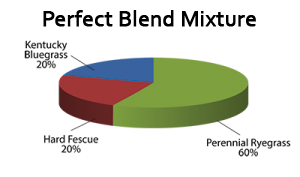 Perfect Blend Sod Mixture