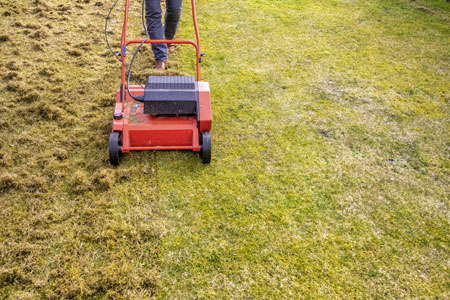 Lawn Care Seattle