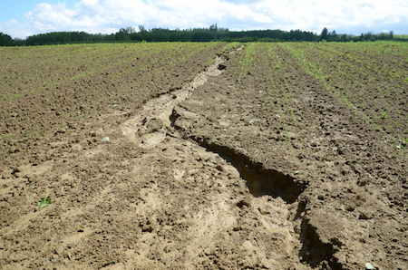 hydroseed erosion control centralia