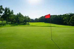 Golf Course Grass Bonney Lake