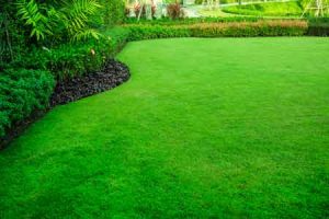 Lawn Care Renton