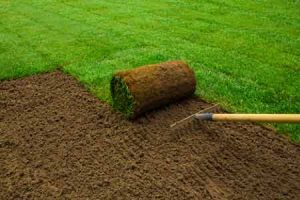 Sod Installation Near Me Bremerton