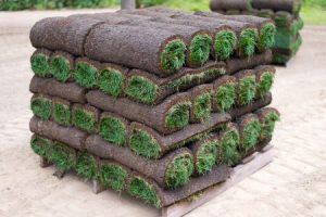 rolls of sod