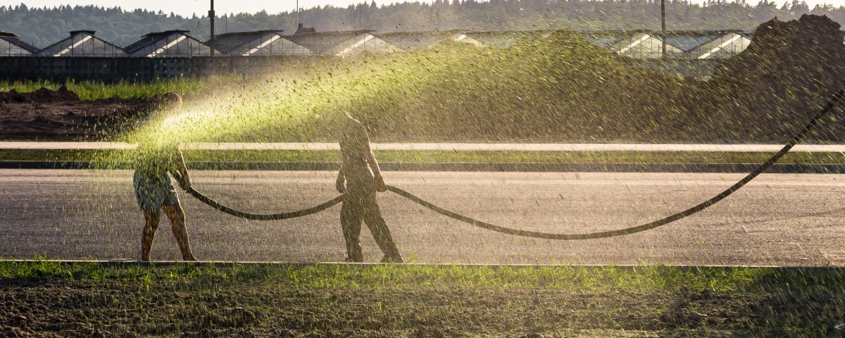 Hydroseeding Chehalis