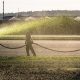 Hydroseeding Chehalis