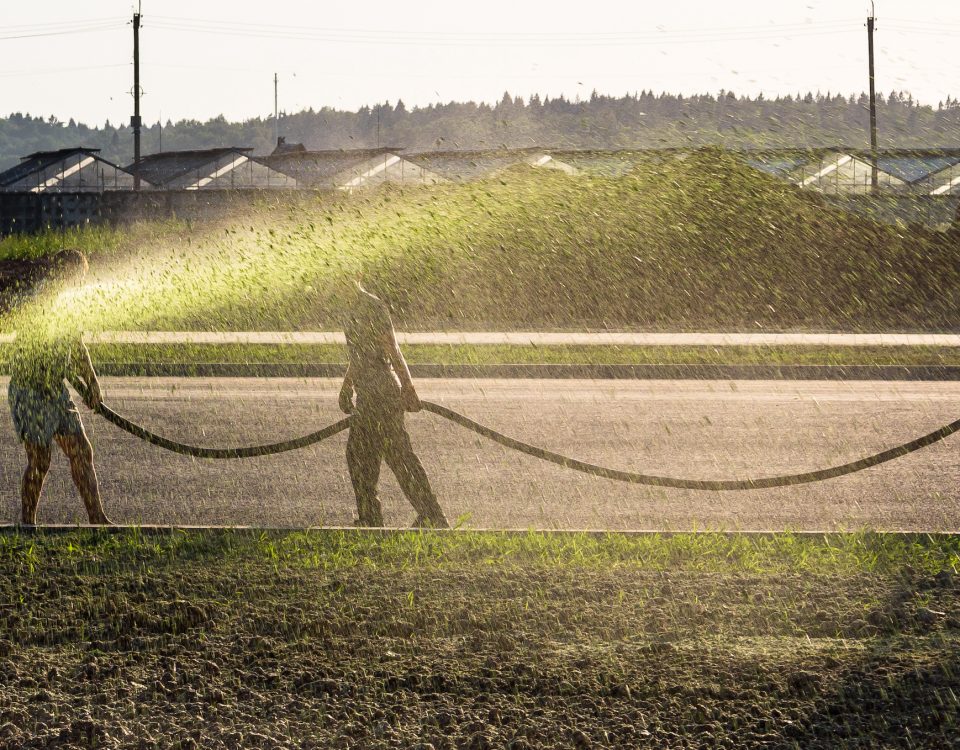 Hydroseeding Chehalis