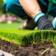 Sod Company Bellevue