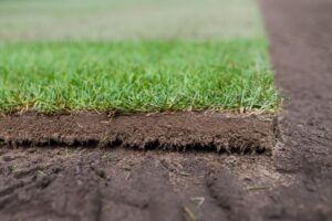 Sod Company in Bellevue