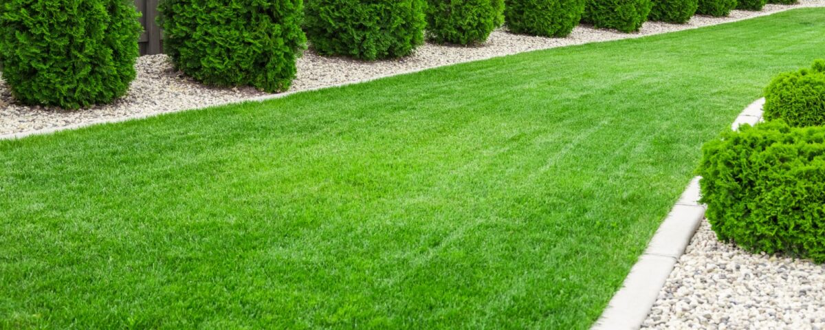 Sod Service Bellevue