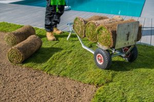 Sod in Puyallup Near Me