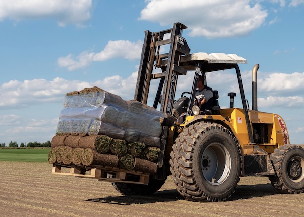 Sod Delivery WA