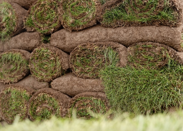 Sod Supplier WA