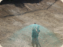 Hydroseed Spray Hydroseed Spray