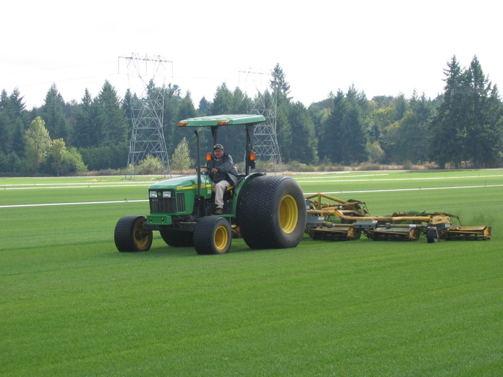 Mowing Puget